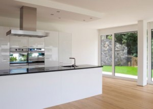 Contemporary Kitchen 1