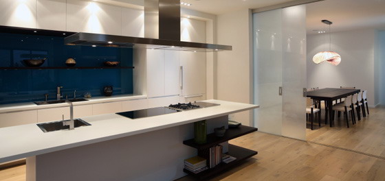 Contemporary Kitchen 3