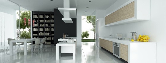 Contemporary Kitchen 5